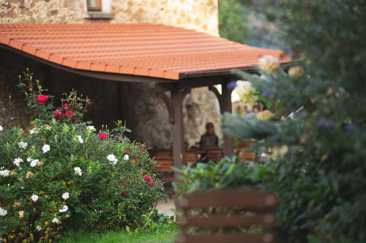שוירזאווה Villa Greta מראה חיצוני תמונה